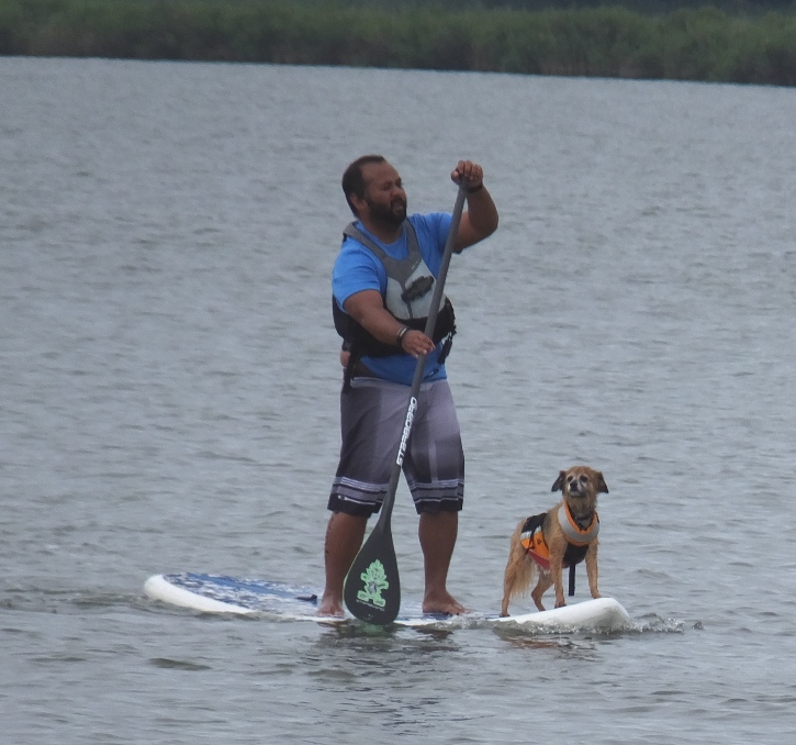Guy with dog on his SUP