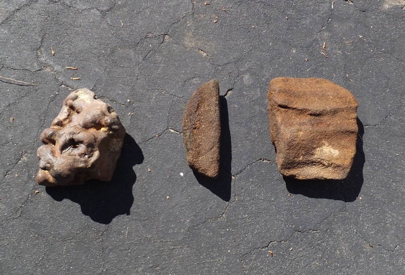 Three rock-like things that I brought home