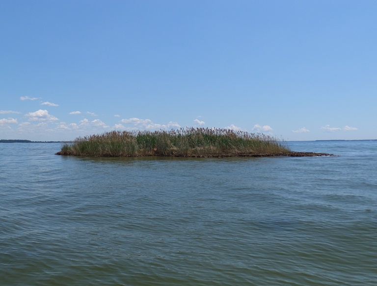 Small, grassy island