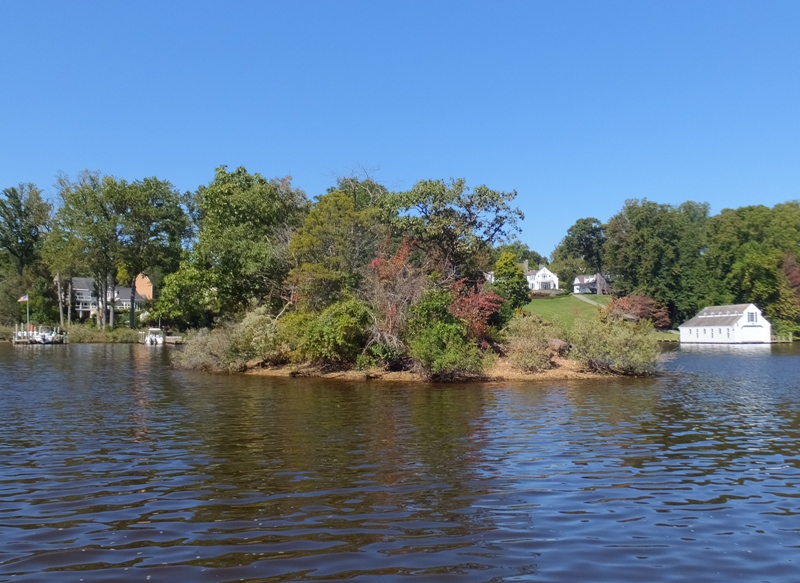 Small island with lots of vegetation