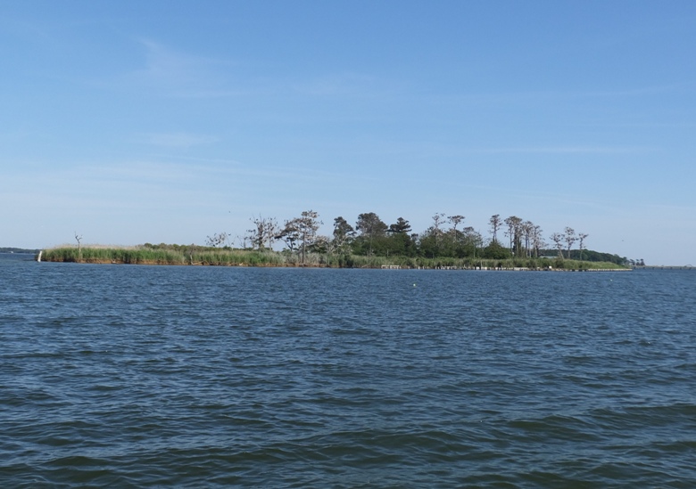 Jefferson Island