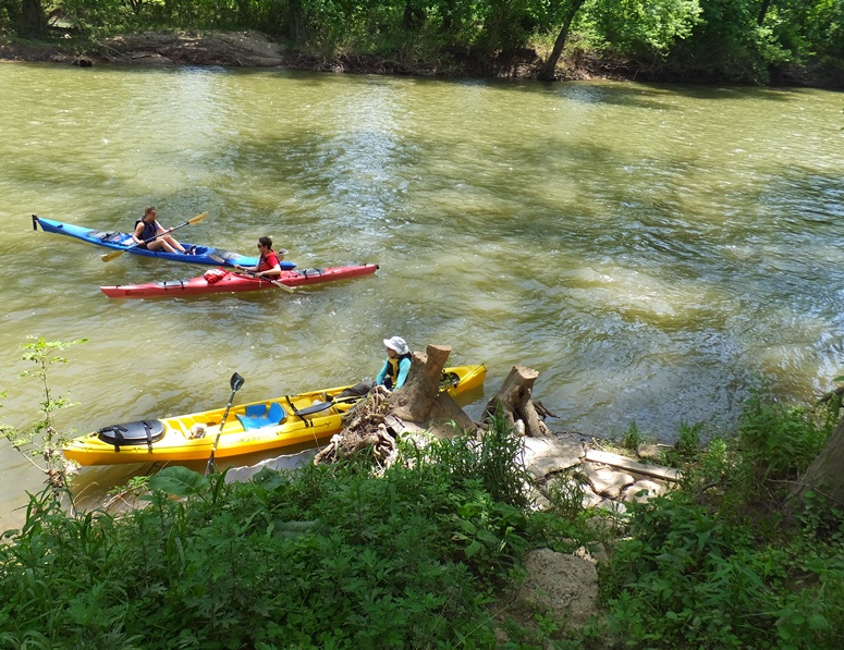 View of kayaks on the water from just above the launch area