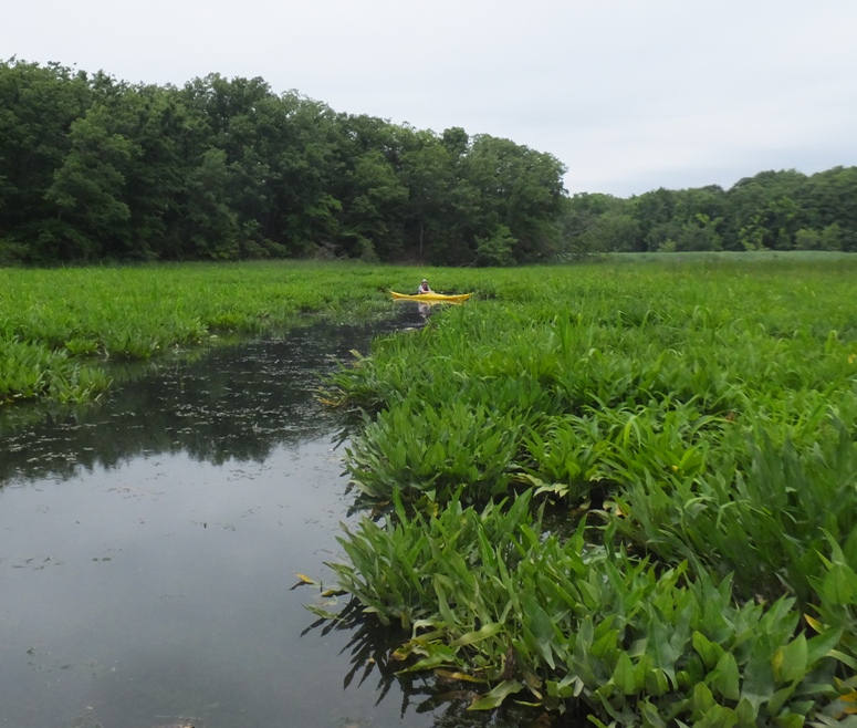 Chris on Mallows Creek