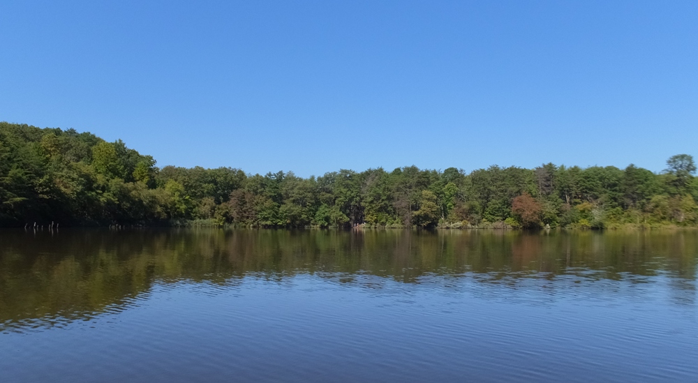 Greenery of Severn Run Environmental Area