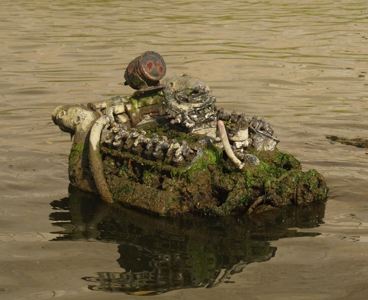 Vehicle motor in shallow water