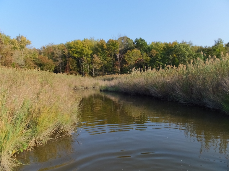 Grass-lined narrow tributary