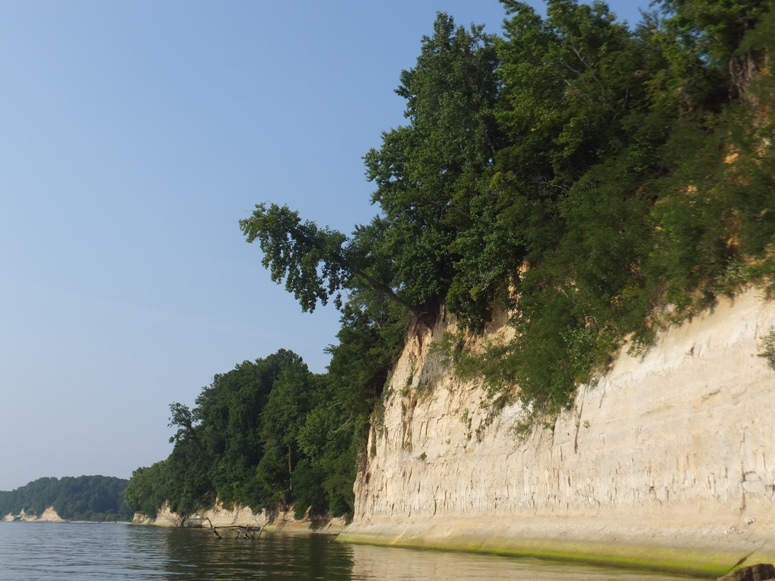 Tree at edge of cliff, ready to fall