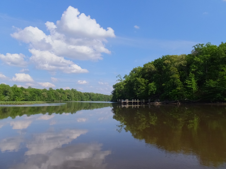 Puffy white clouds over peaceful creek