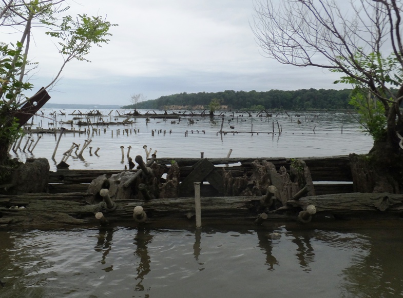 Wood and metal from the hulls of wrecks protruding above the water