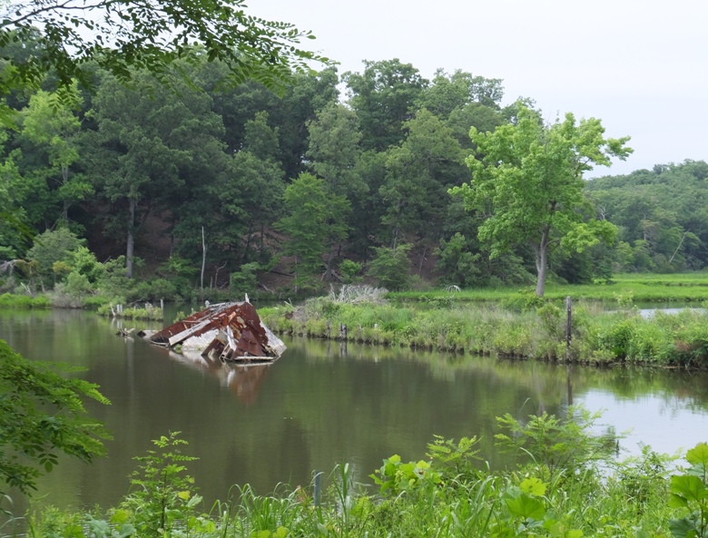 The first wreck we saw