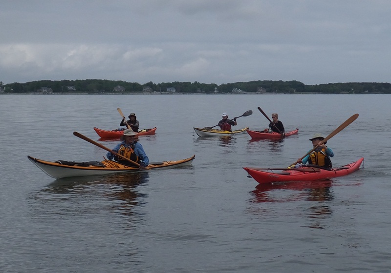 Five kayakers and four Greenland paddles