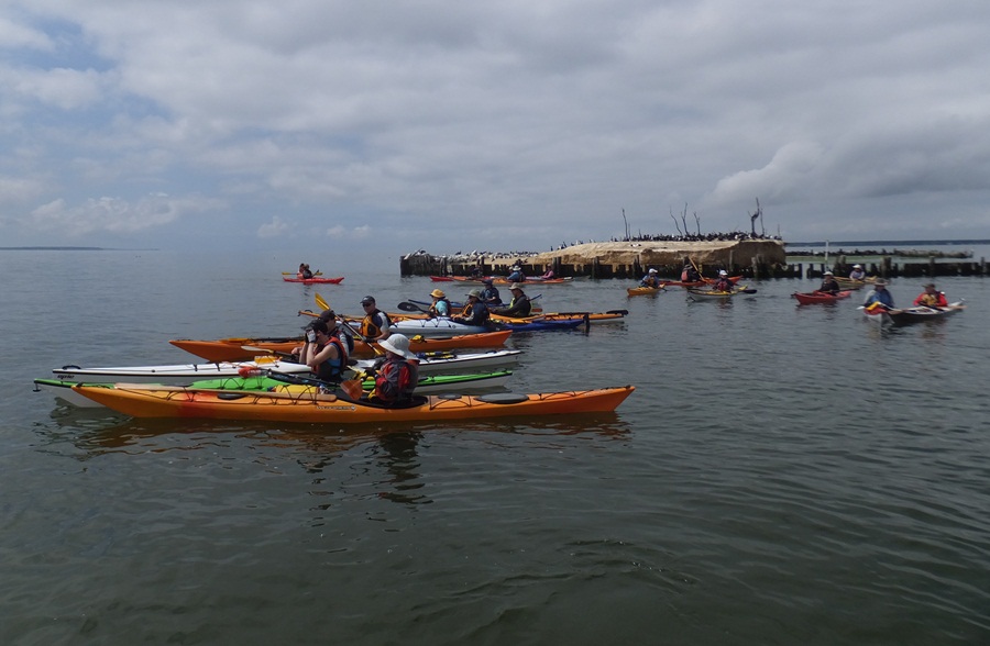 Kayakers taking a break at Bodkin Island