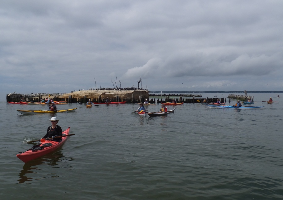 Cormorants on the island with kayakers around it