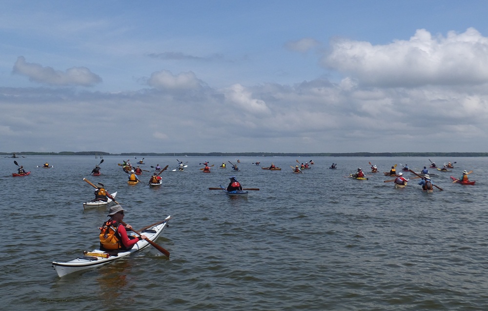A plethora of kayakers