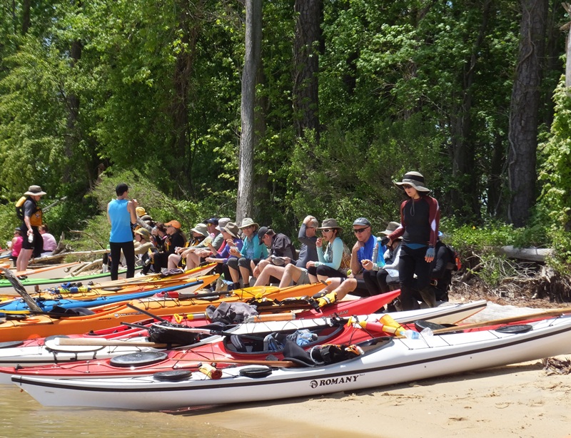 Kayakers eating, sitting on a log