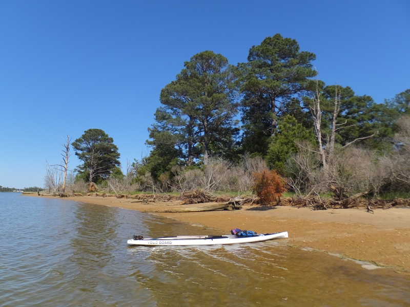 My SUP on Church Creek