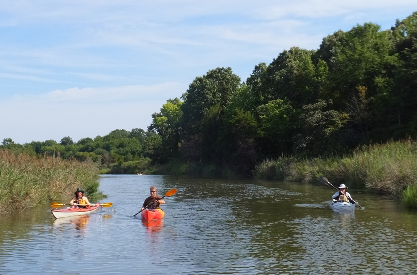 Three kayakers on narrow section of creek