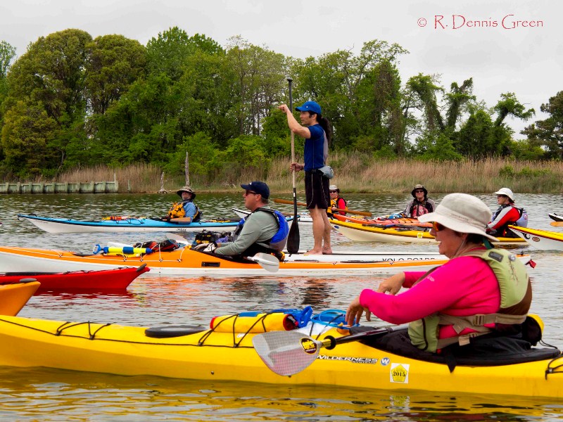 Me on SUP with kayakers around