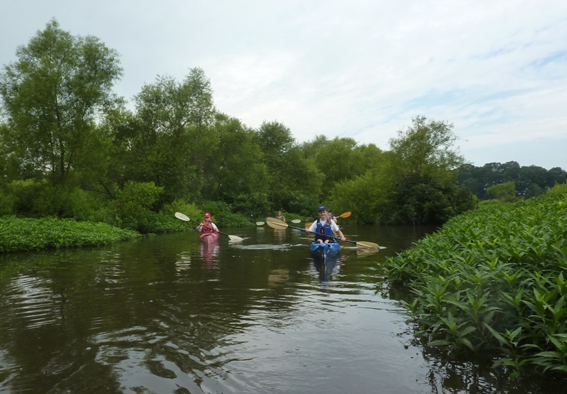 Kayakers in my group
