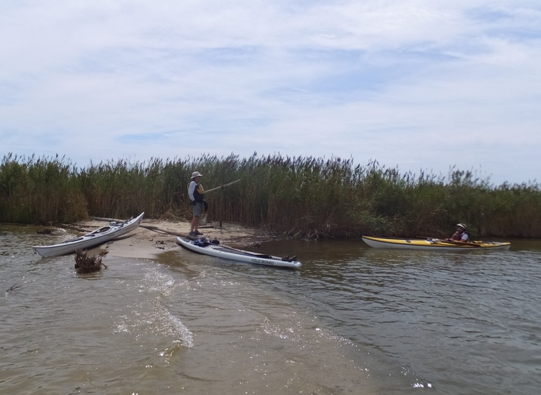 Boats pulled ashore at island off Broadwater Point