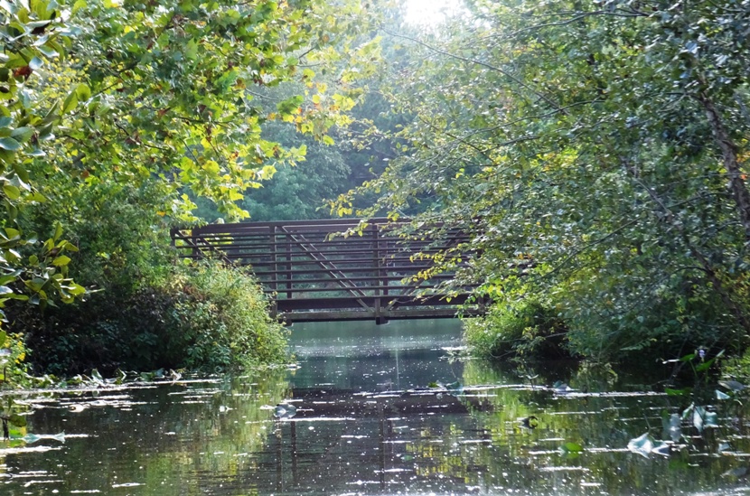 Low foot bridge over the water