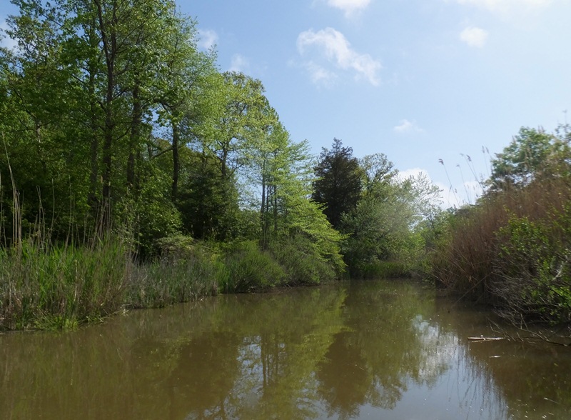 South split of Muddy Creek
