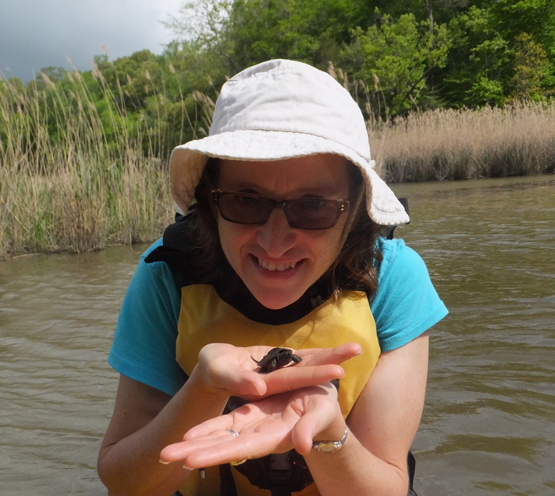 Norma holding baby snapping turtle