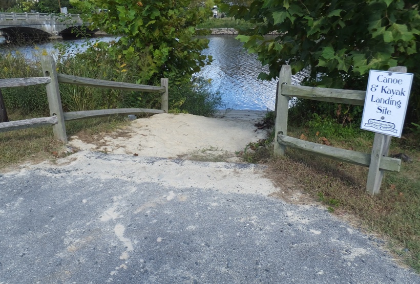 Trees and beach of Pocket Park as seen from land