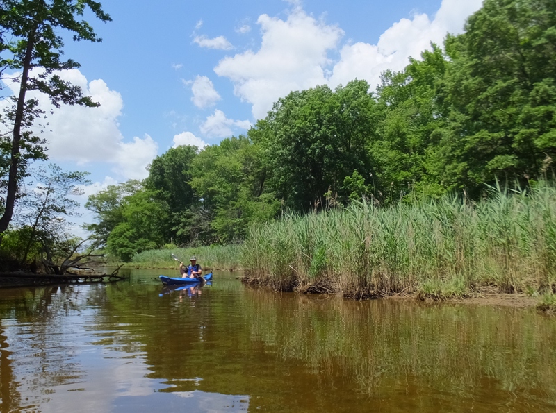 Shallow part of Solleys Cove