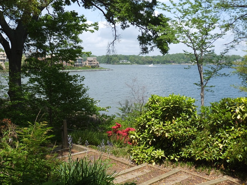 South River, seen through the foliage