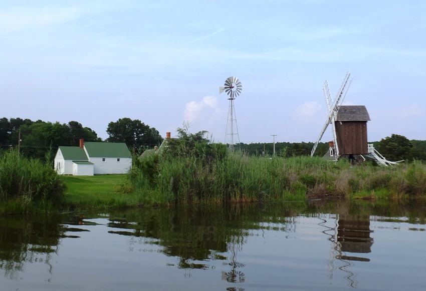 Clearing shown through the grasses on the left