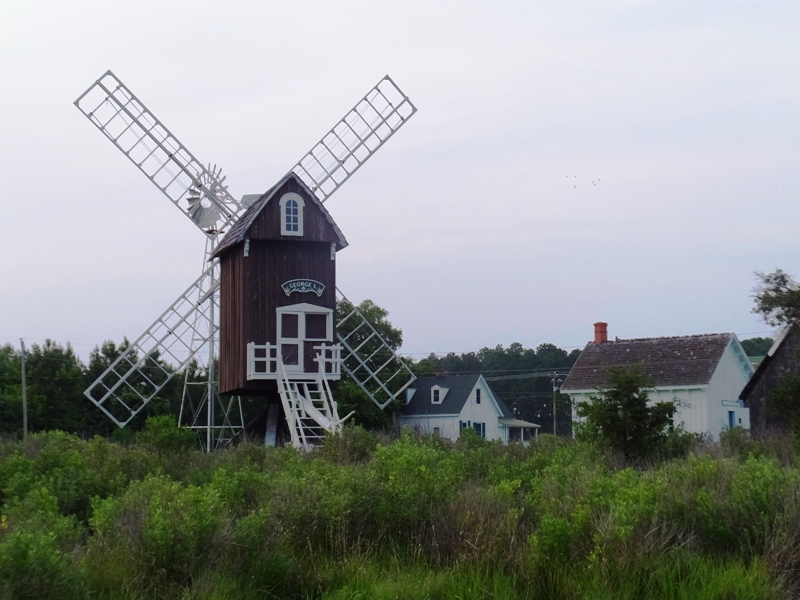 Showing the rear of Spocott Windmill which has a sign that reads 'George L.'