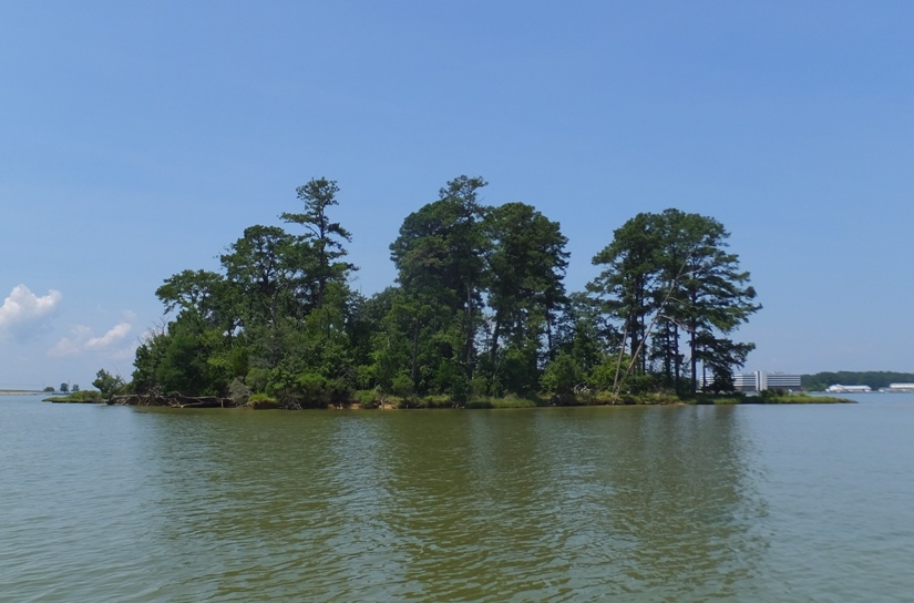 Island off Taylor Point
