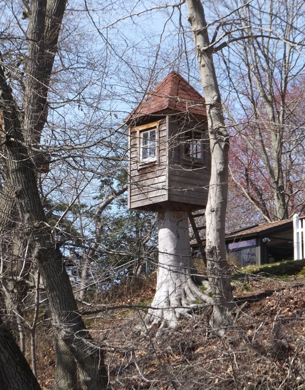 Small tree house