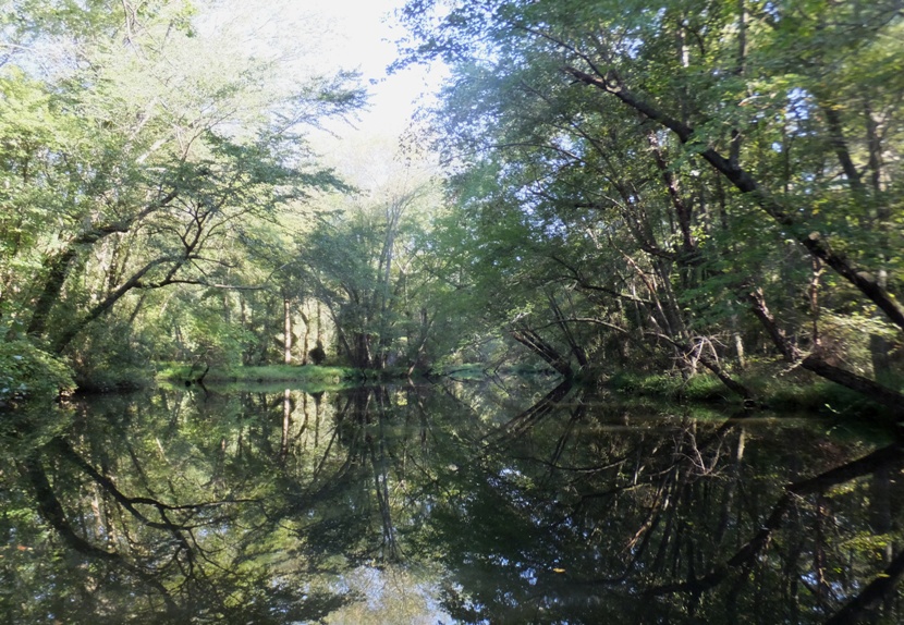 Natural view on Marshyhope Creek upstream of Federalsburg