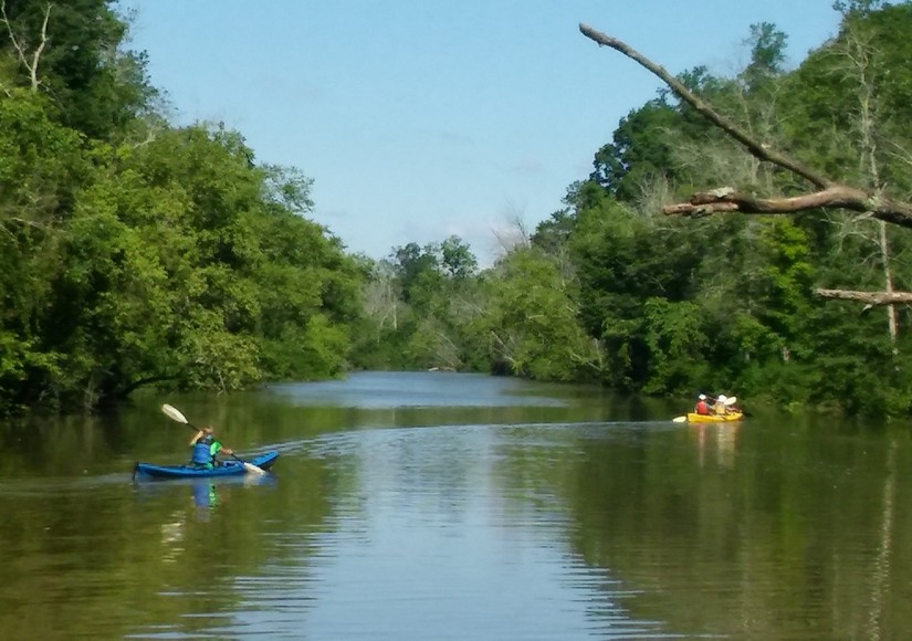The three women kayaking in wooded section of the Western Branch