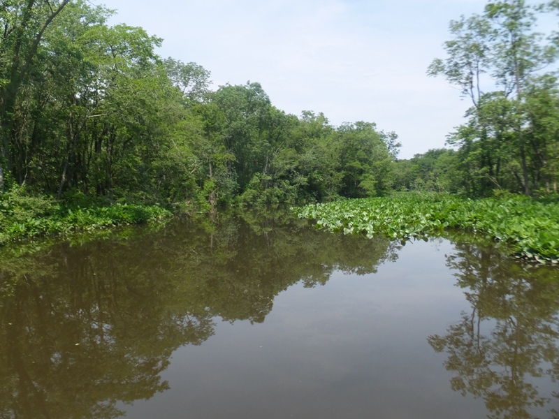 Another scenic waterway with lots of greenery