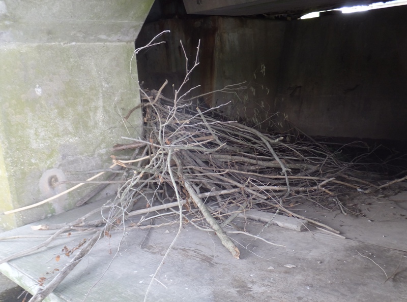 Sticks on wooden platform in bridge support