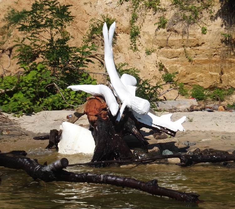 White sculpture of mermaid with seals