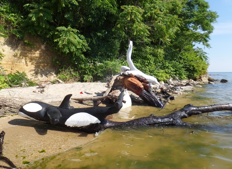 Killer whale with the above sculpture