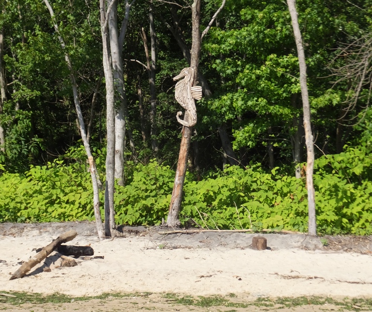 Wooden sea horse mounted on tree