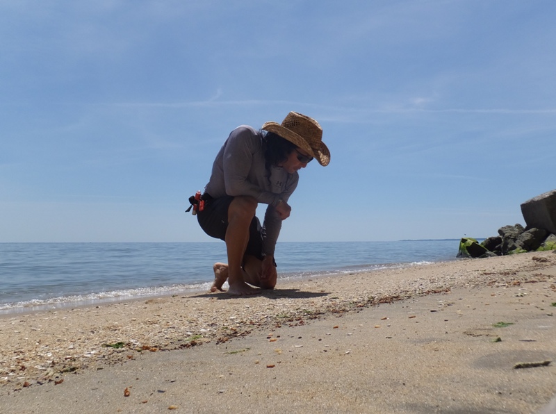 Me searching for shark teeth on beach