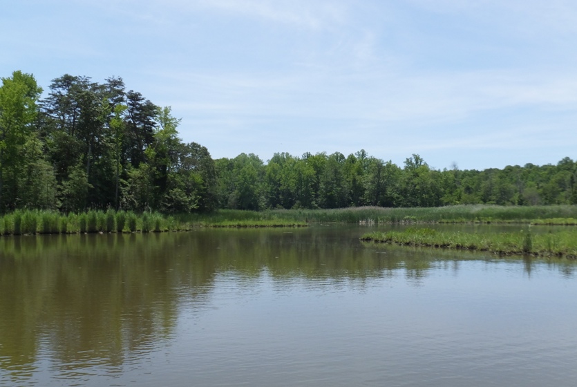 Open flat water on Plum Point Creek