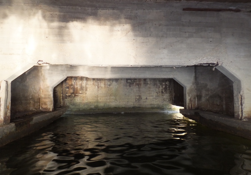 Concrete supports under the short pier