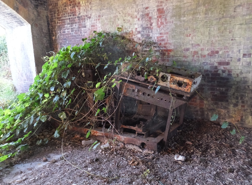 Vines growing on metal contraption