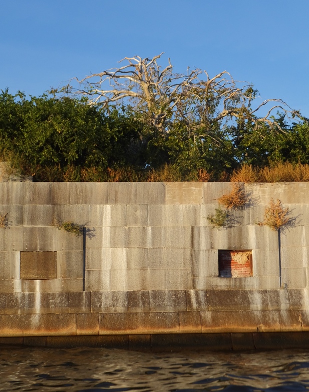 I remember reading that peach trees were planted at the fort.  Could this be one of them above the stone wall?