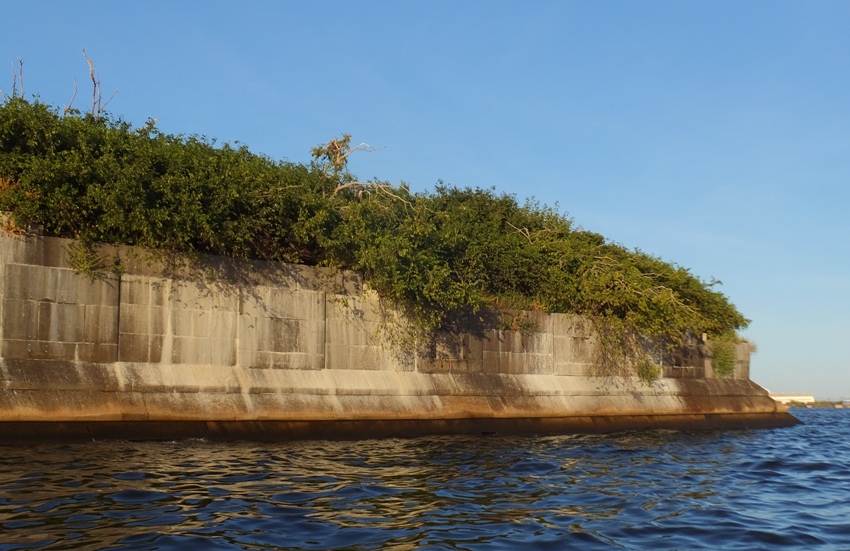 Lush vegetation growing over the south wall