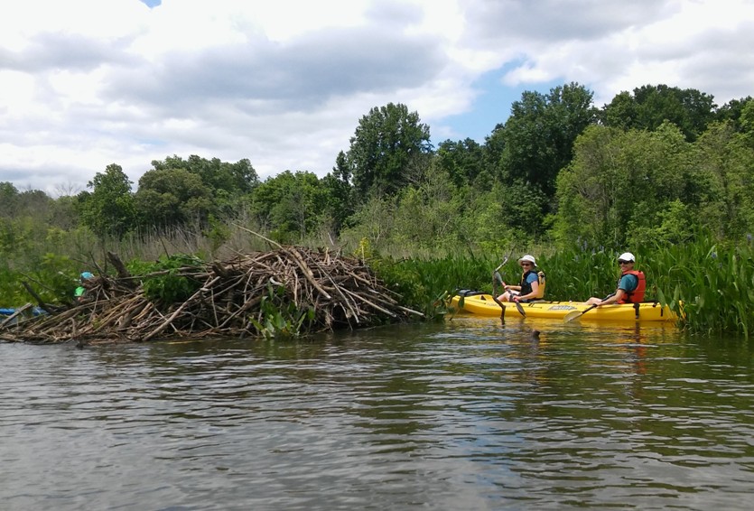 Norma and Yvette next to beaver lodge