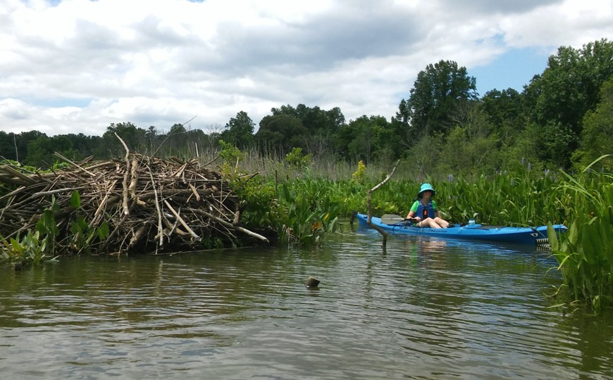 Susana next to beaver lodge