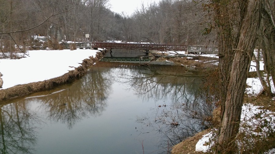 Big Branch with bridge